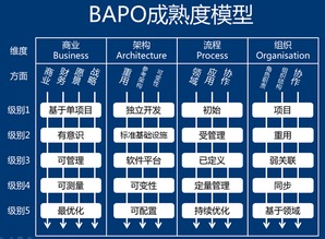 軟件產(chǎn)品線工程 大規(guī)模產(chǎn)品開(kāi)發(fā)的高效之路